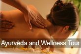 ayurveda and wellness tour