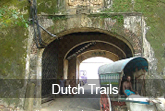 dutch trails