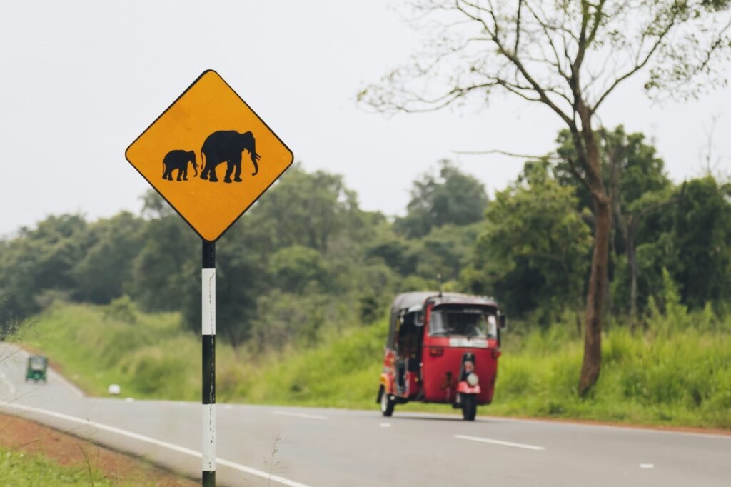 Sign “watch out on crossing elephants” on the Sri Lankan road.