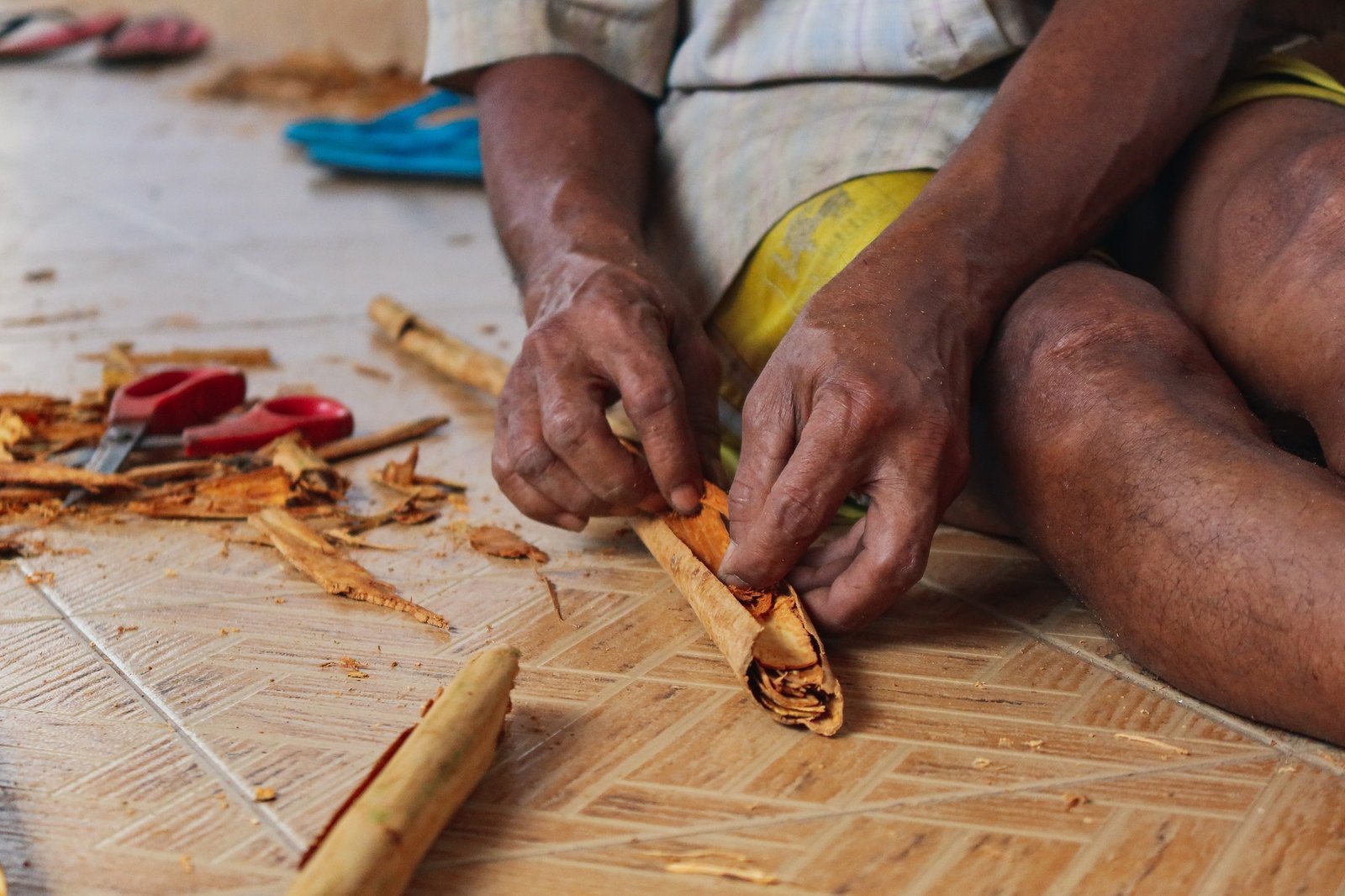 Cinnamon production, Sri Lanka.