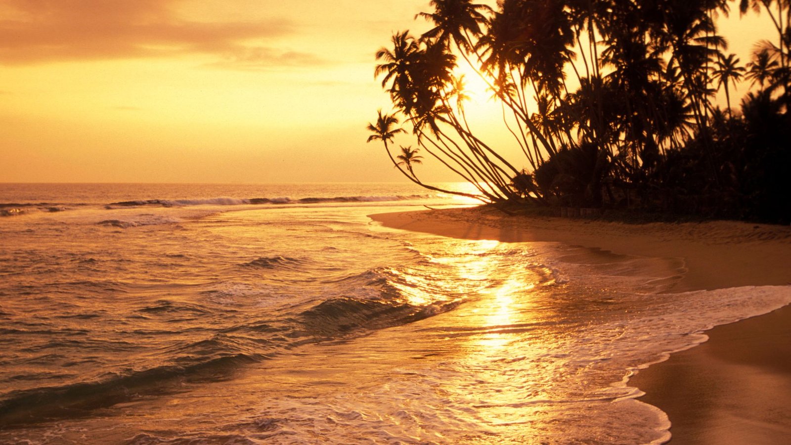sun-set-beach-sri-lanka